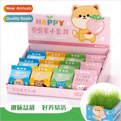 Children DIY green plant clipping grass green plant small po