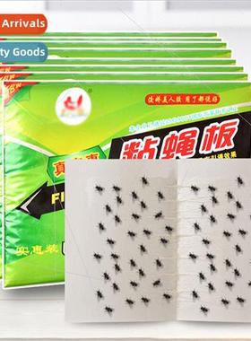 Sticky Fly Stickers Sticky Fly Mosquitoes Fly Exterminating