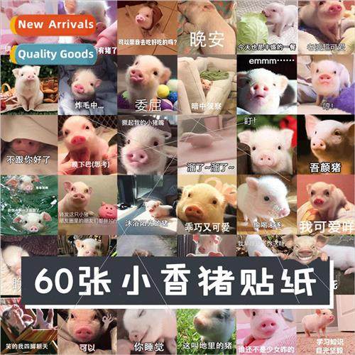 60 pcs of piggy cute soft expression package stickers phone
