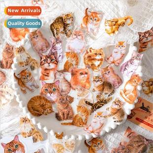 book pack cute cats changeable series pet Love sticker Pet