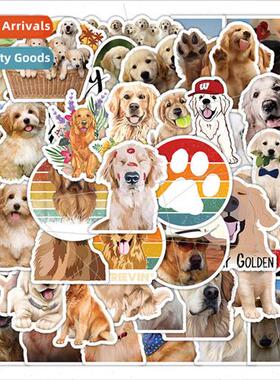50 Golden Retriever Stickers Cute Chicken Hair Dog Decoratio