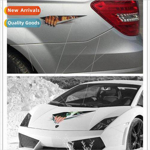 3D simulation three-dimensional car stickers simulation eyes