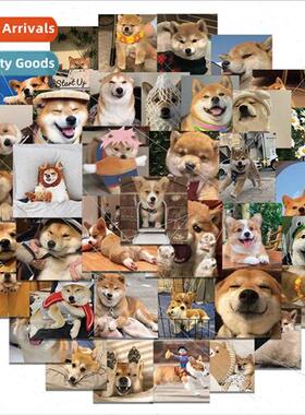 55 pcs pack shiba inu corgi cute dog graffiti stickers lugga