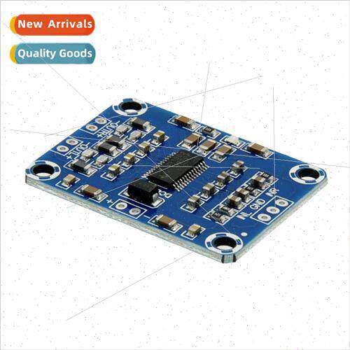 Digital Amplifier Board Audio Amplifier Board TPA3110 Speake