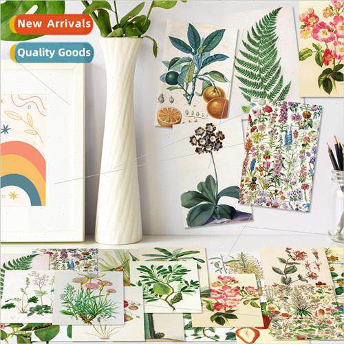 50 floral mix and match small fresh healing bright letter wa
