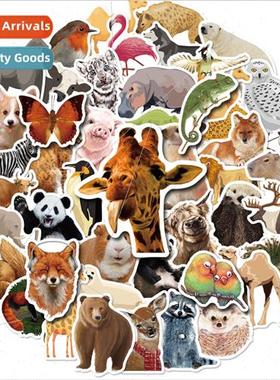 50 pcs of zoo series of stickers small and medium class joyf