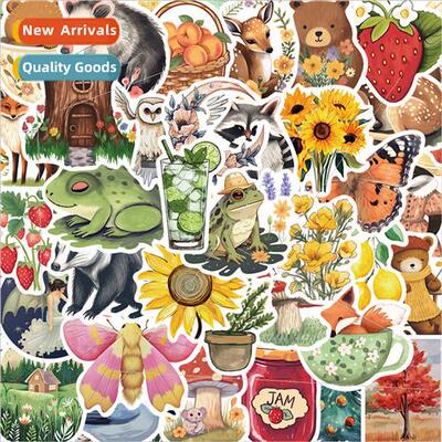 50 pcs of mysterious 适用est illustration Magic 适用est dood