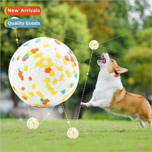 Dog toys golden hair chewing ball teething dog boredom ball