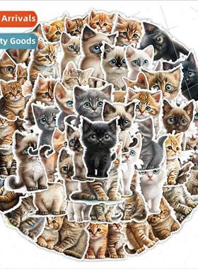 50 pcs of cute wide-eyed cat graffiti stickers car cell phon