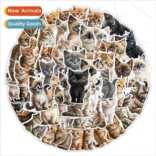 car phon cute cat graffiti eyed wide cell stickers pcs
