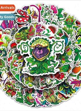 50 pcs of insect-catching insectivorous plants flytrap pigwe