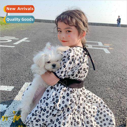 girls summer short-sleeved dress 2022 Korean  of the new lit