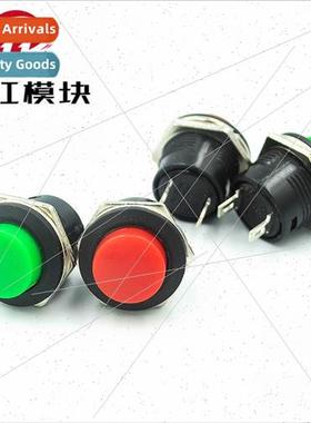 R13-507 Series Pushbutton Switch 16MM -Resetting Pushbutton
