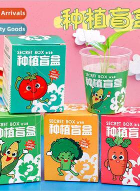 Kindergarten planting pots and plants blind box Childrens pl
