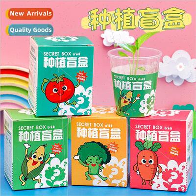 Kindergarten planting pots and plants blind box Childrens pl