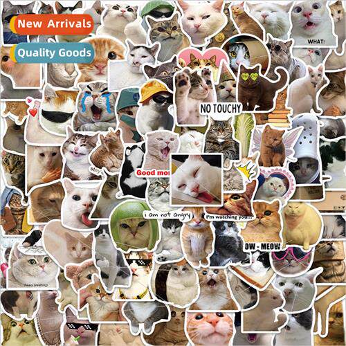 100 Cat MEME Emoji Doodle Stickers Decorative Guitar Laptop