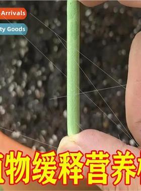 Plants slow-release stick nutrient stick flower fertilizer