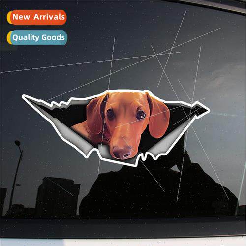Dog car stickers dachshund personalized fun body stickers an