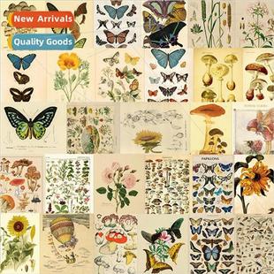 sticker vin square waterproof pack fauna and flora pcs