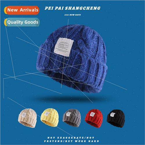 Hat female winter warm wild hemp pattern knitted cap solid c