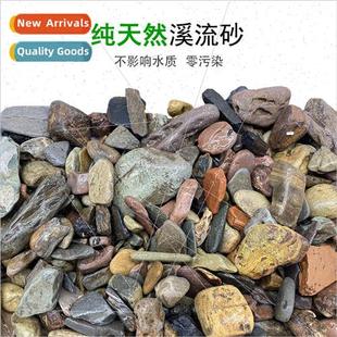 Aquarium Primary Fish Substrate Aqu Sam Turtle Sand