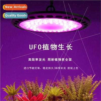 New plant growth fill light greenhouse greenhouse vegetable