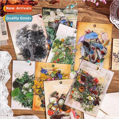 Nature Story Series Handbook Sticker Pack Kids Handbook Stic