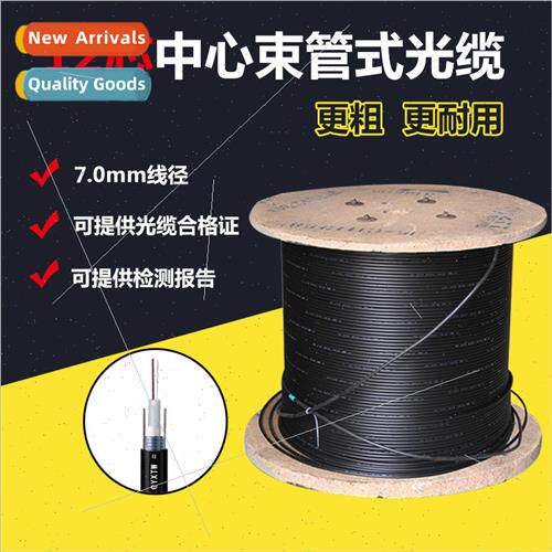 GYXTW-12B1 Outdoor nglemode Armored Fiber Optic Cable 12 Cor