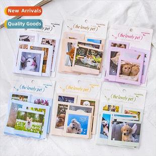 Writable Stickers Heartwarming Love Pet Series Cute Cartoon