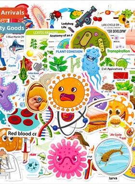 50 Biomedical StickersNew Biology Lab Childrens teracy Puzzl