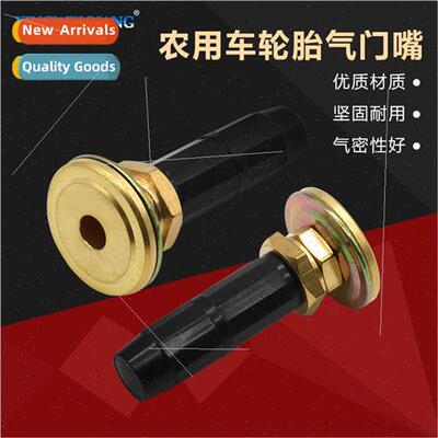 Compression type pneumatic tire valve diameter 15.7mm rim ho