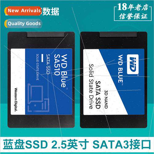 Western Digital Solid State Drive 250G 500G 1T 2T 4T Compute