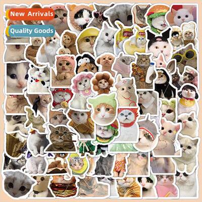 99 realistic kitten stickers cute cat waterproof stickers ph