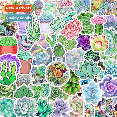 50 succulents doodle stickers car computer cell phone water