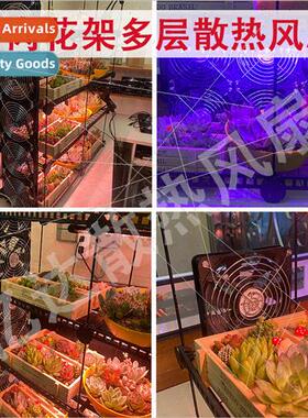 Succulent flower rack multi-layer cooling fan green plants f