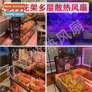 multi layer plants flower green rack fan Succulent cooling