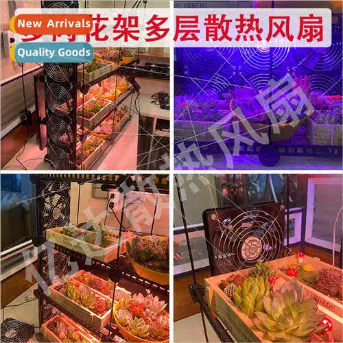 Succulent flower rack multi-layer cooling fan green plants f