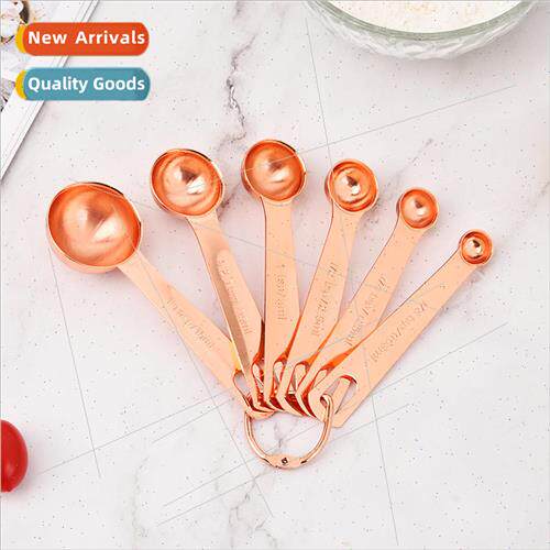 Rose Gold Stainless Steel Measuring Spoons Set of 6 with Gra