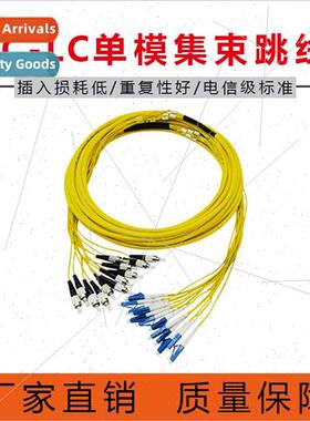 6/8/12 core 24 core cluster pigtail branch cable LC single m