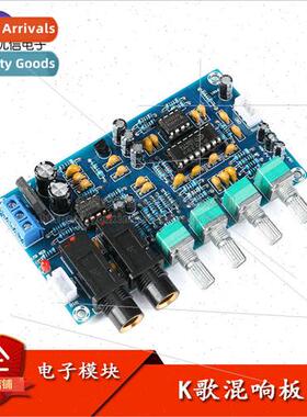 Karaoke Reverb Board Karaoke nging/Dual Microphone Amplifica