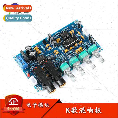 Karaoke Reverb Board Karaoke nging/Dual Microphone Amplifica