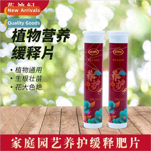 Plant Nutrition Tablets Universal Slow-Release Fertilizer Fe