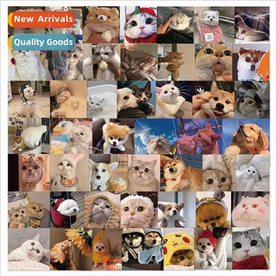 48 Cute Cat Dog Square Doodle Stickers Computer Mug ggage Sk