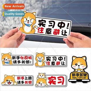 newbie please the car stickers care Internship take