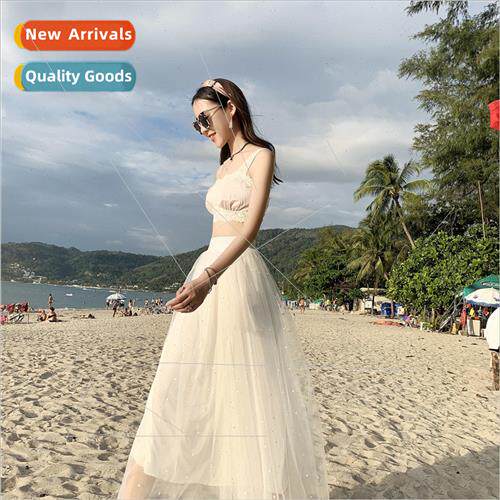 Mesh half-body skirt female mid-length spring 2019 new high-