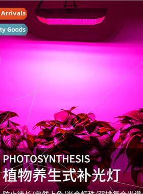 LED plant grow light full spectrum succulent fill light indo