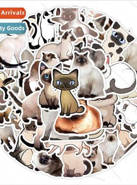 50 amese cat cute series of graffiti stickers decorative wat