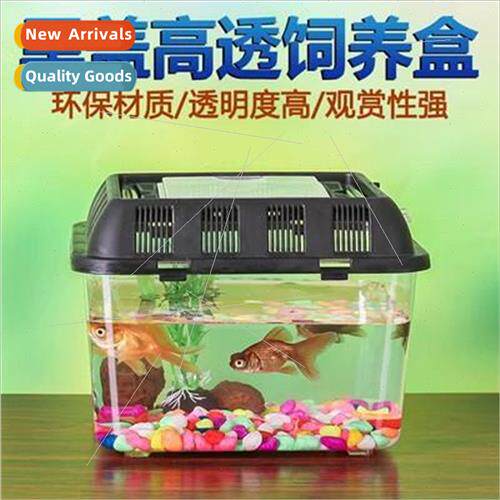 Black d Fish Tank High Transparency Climbing Pet Box Large M
