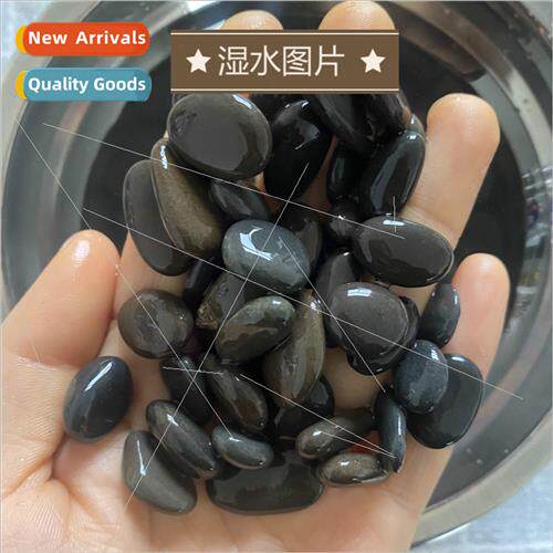Iron gall sand black sand black sand turtle rock aquarium de