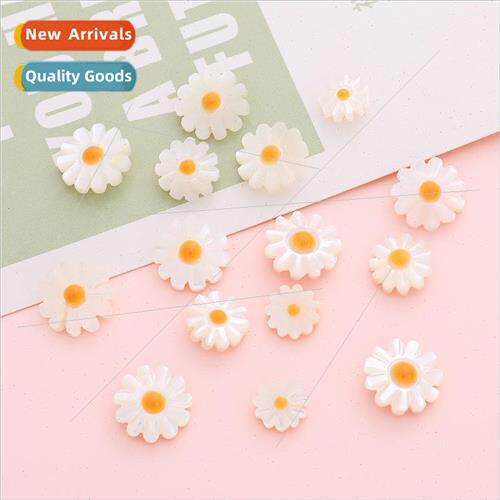Fresh natural shell daisy straight hole flowers DIY handmade